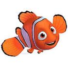 NeMo