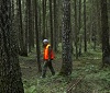 пропал ребенок Брянск